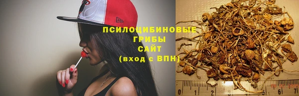 бутират Елабуга
