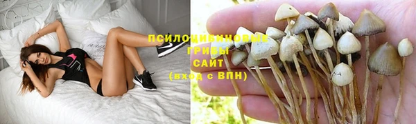 герыч Ельня