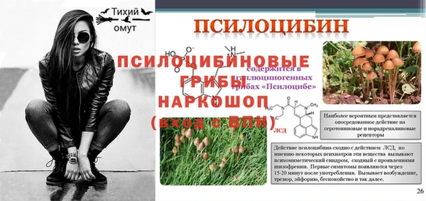 герыч Ельня