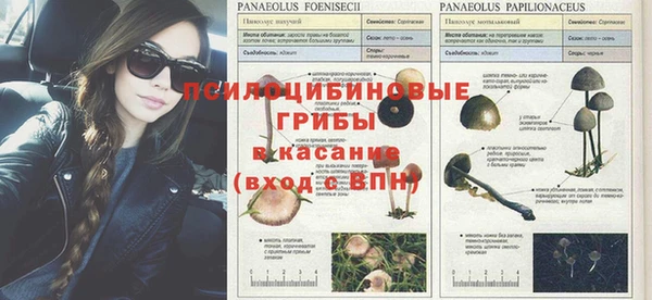 герыч Ельня