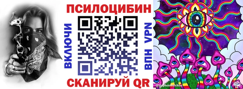 мега зеркало  что такое   Западная Двина  Псилоцибиновые грибы мицелий 
